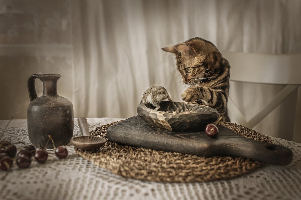 Сбежавший обед