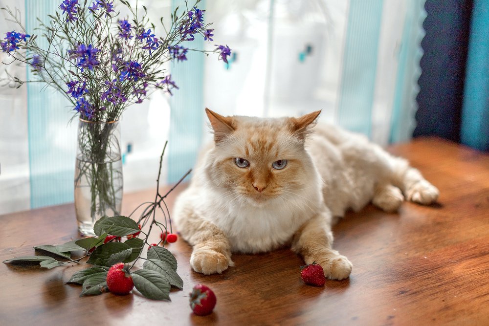 Летние мотивы с Тимой