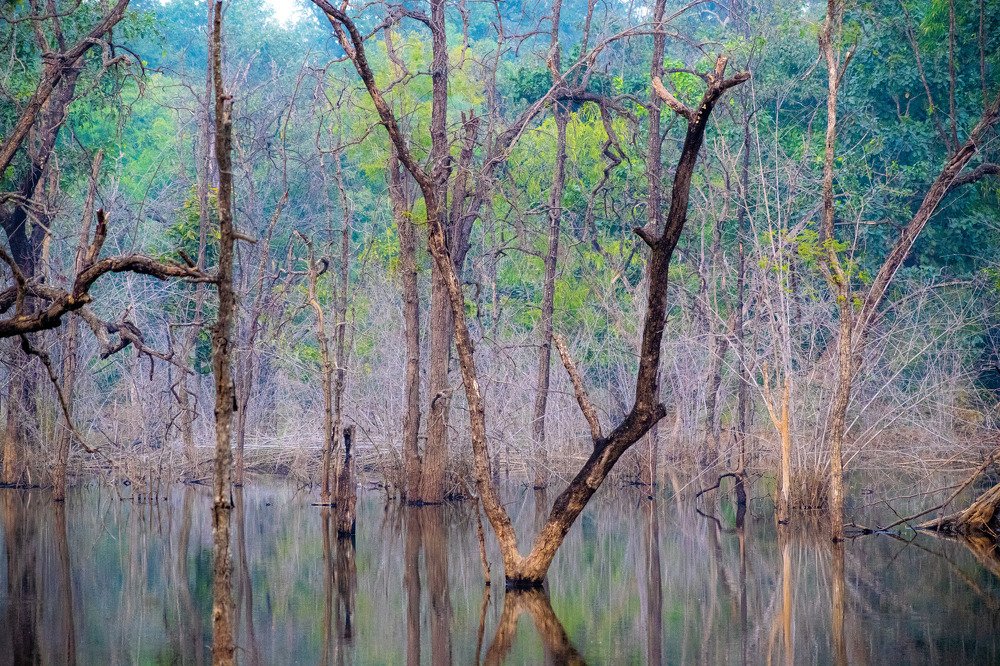 Photographing with crimea