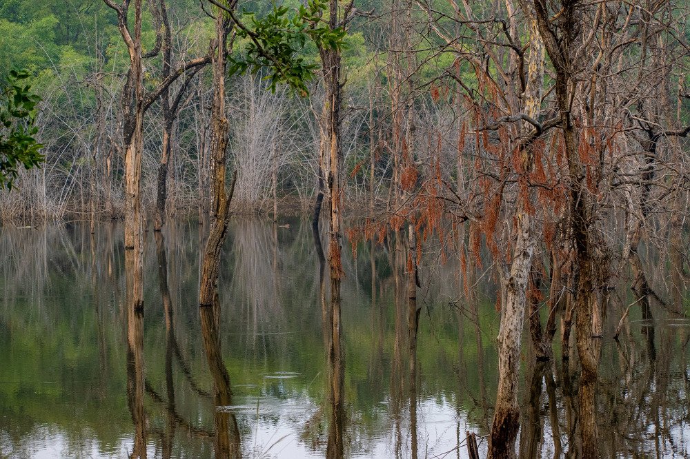Photographing with crimea