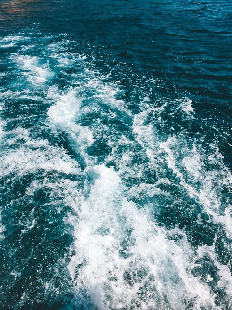 Photograph by Чмиль Валерия