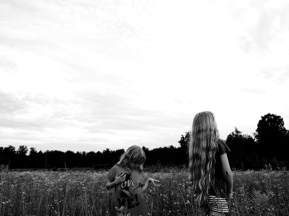Photo #3364445