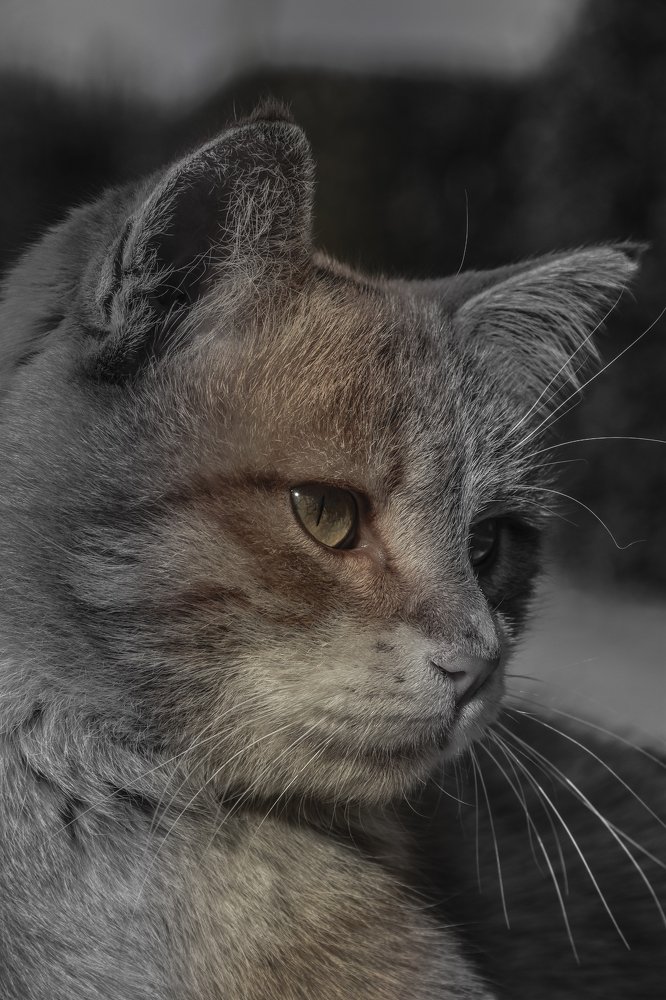 Photograph by Matineh Ahmadi