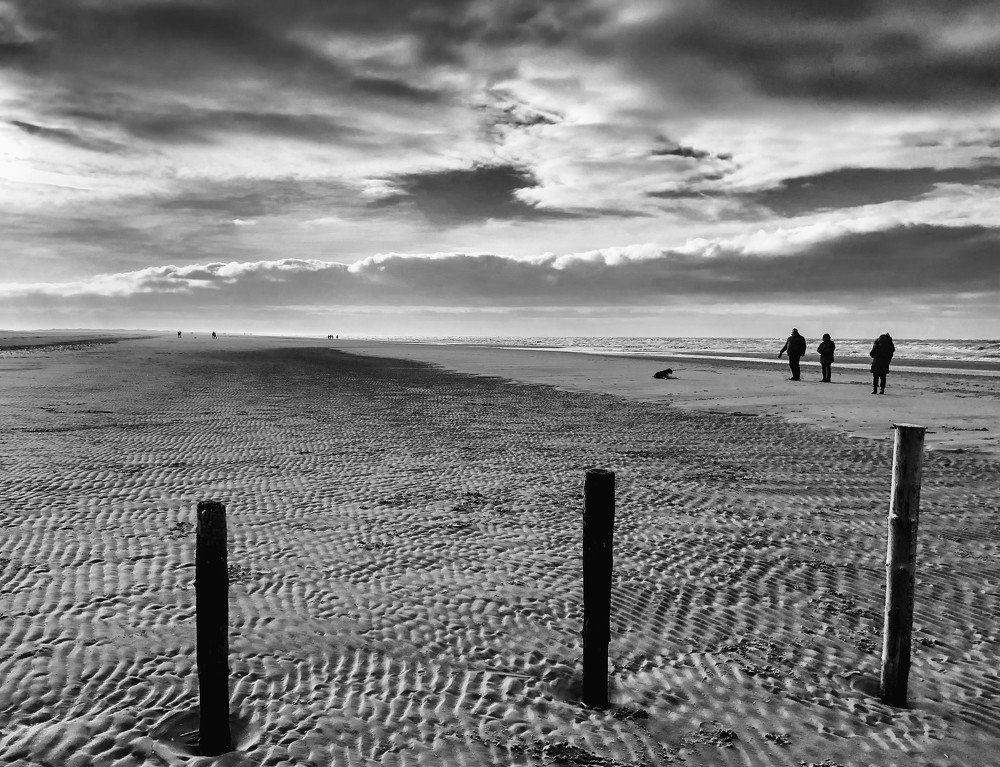 Photograph by Susanne Larsen