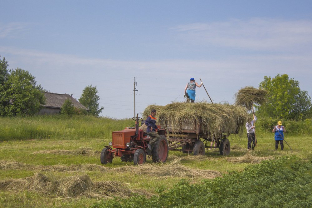 Время сенокоса