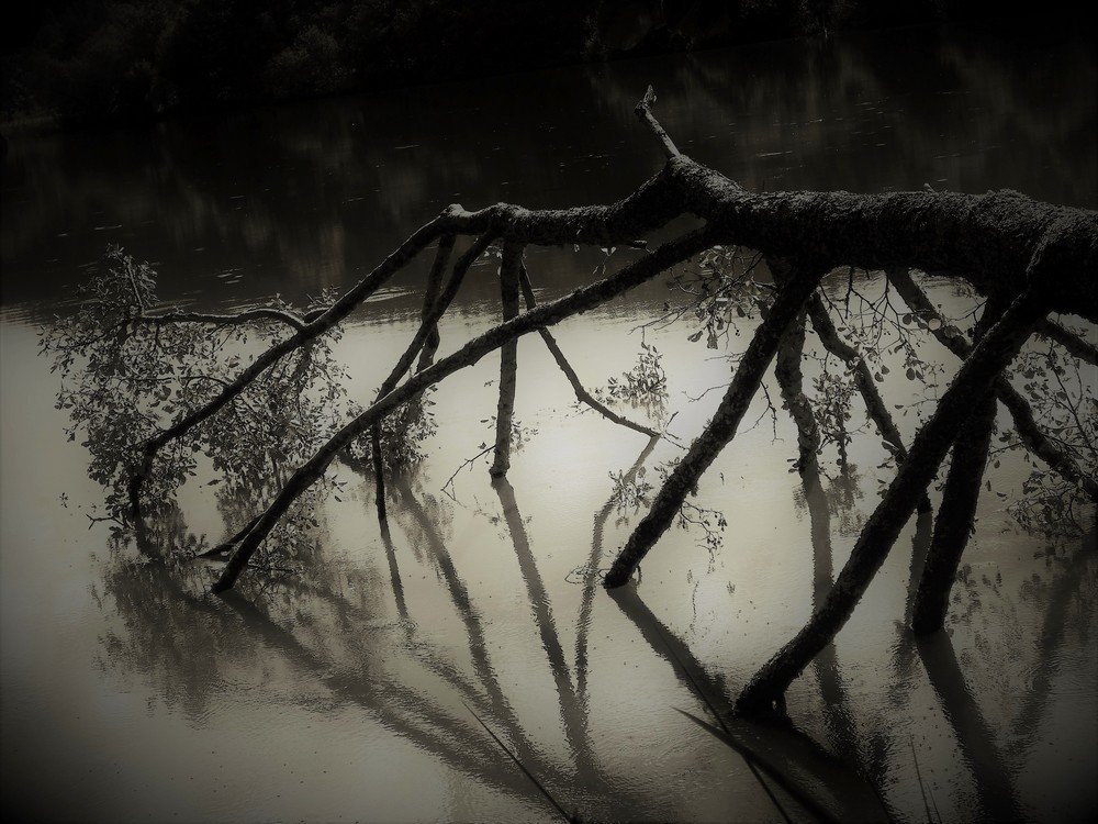 L'Emprise - The Hold