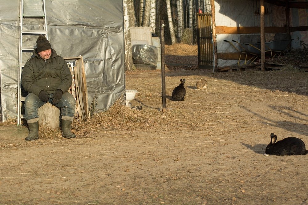 Миниатюра "Дед Мазай и Зайцы"