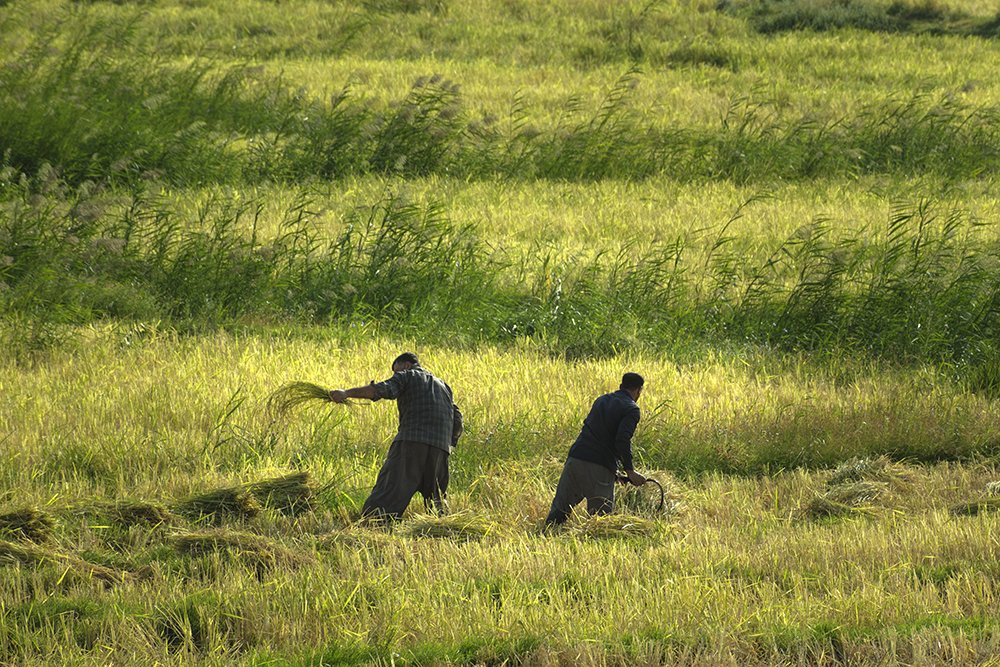 Photograph by Vahid Setoodeh