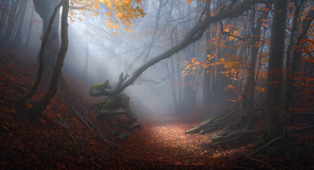 Осенний лес. Демерджи.