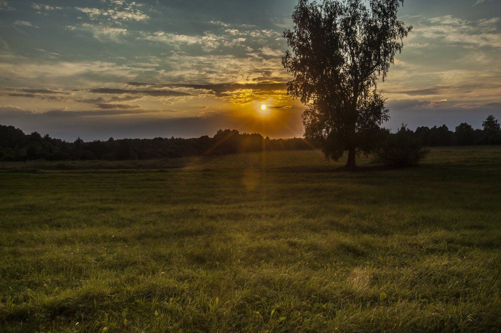 Photograph by Михаил Строев