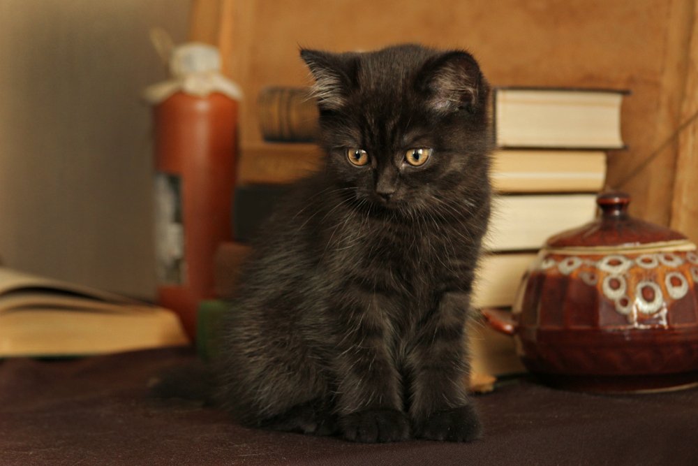 Дьявольски прекрасен!