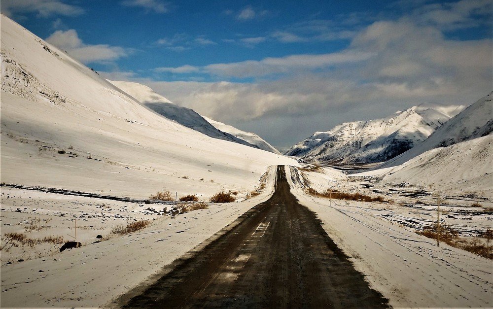 Into the Snowy World