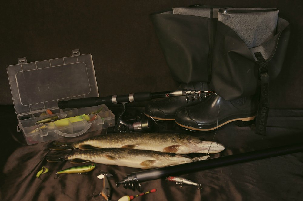 Трофейная щука