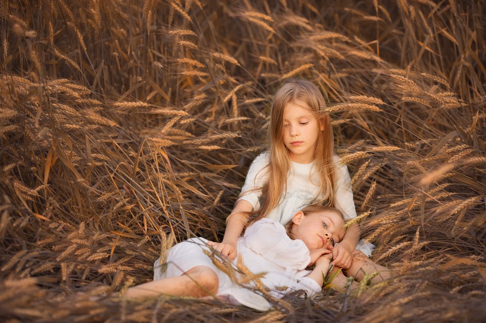 Пшеничное лето