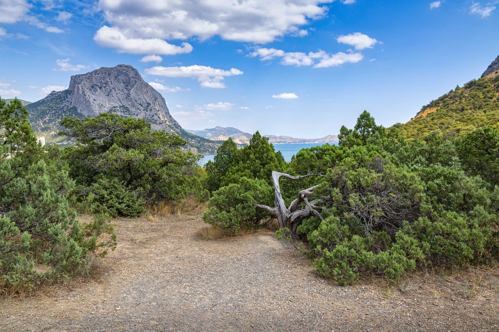 Крым. Новый Свет.