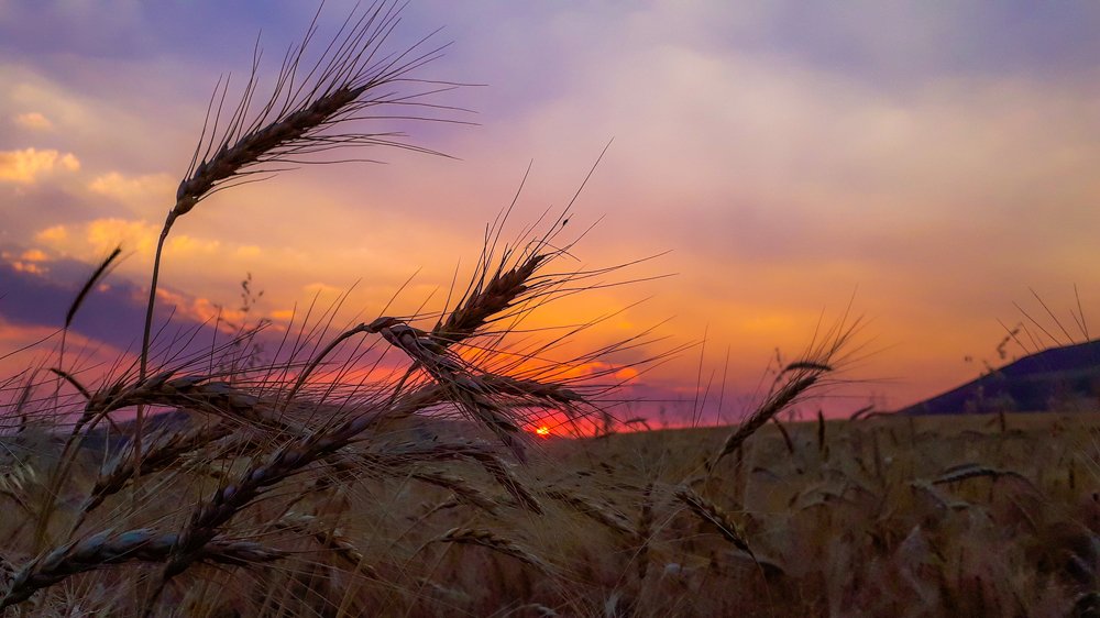 Sunset of Piranshahr
