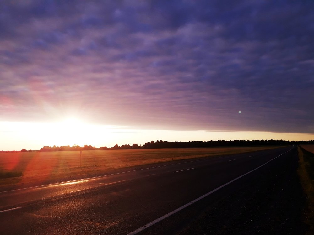 Дорога домой