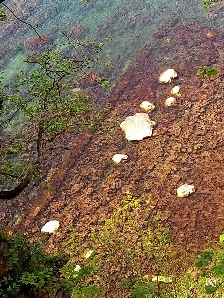 Черное море