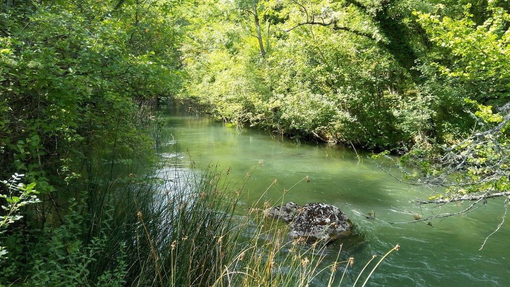 черная речка