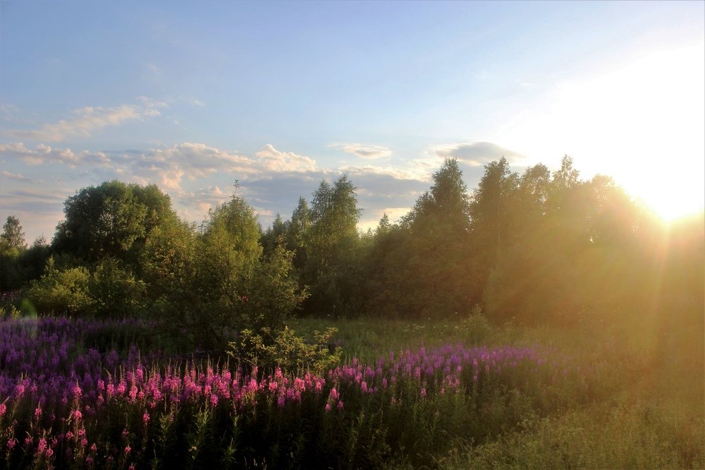 Деревенский рассвет