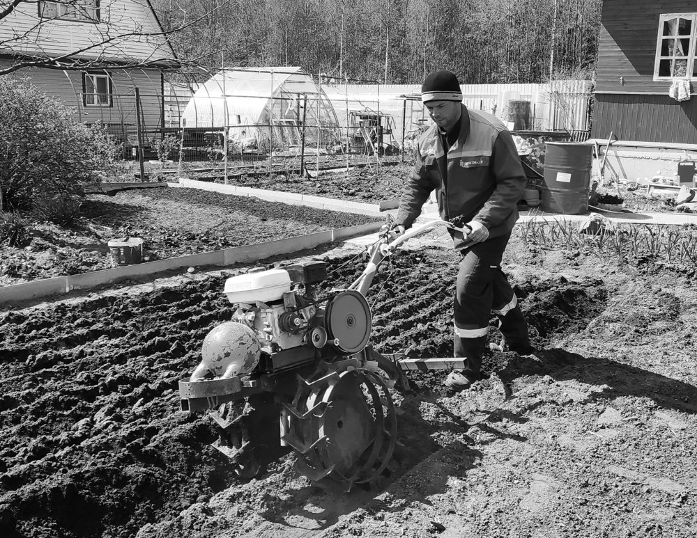 на картошке