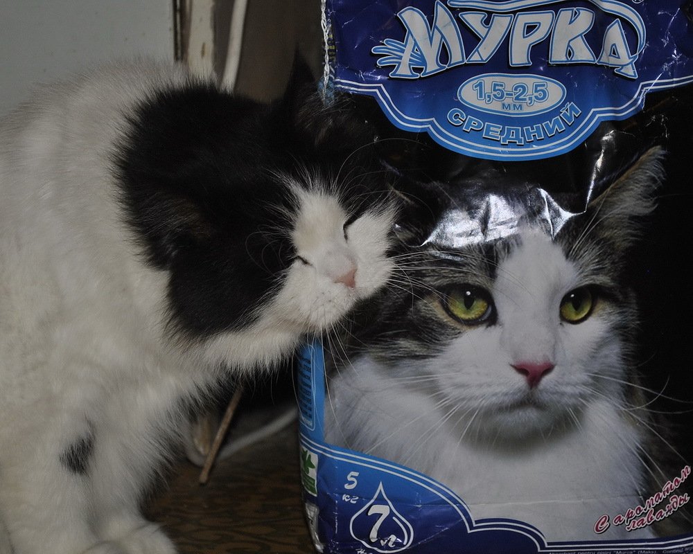 Мой любимый песочек