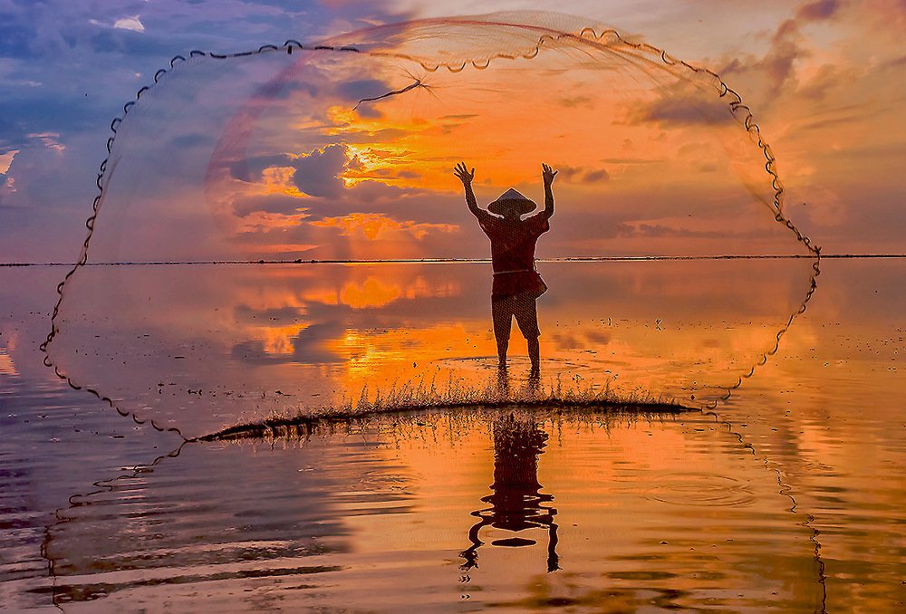 Рассветная сеть