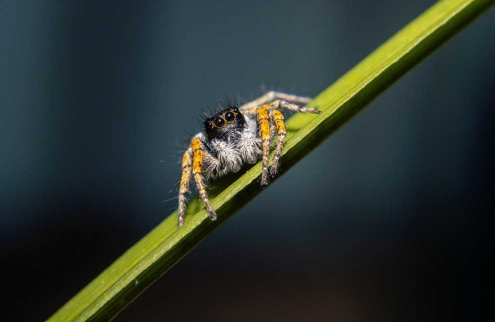 Photograph by Юрий Лисовой