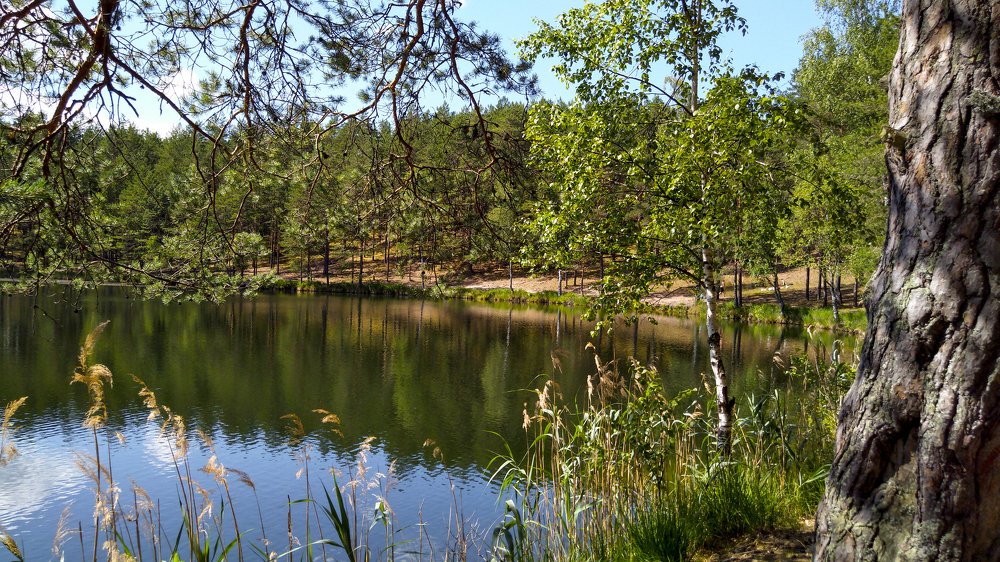 Псковские озёра