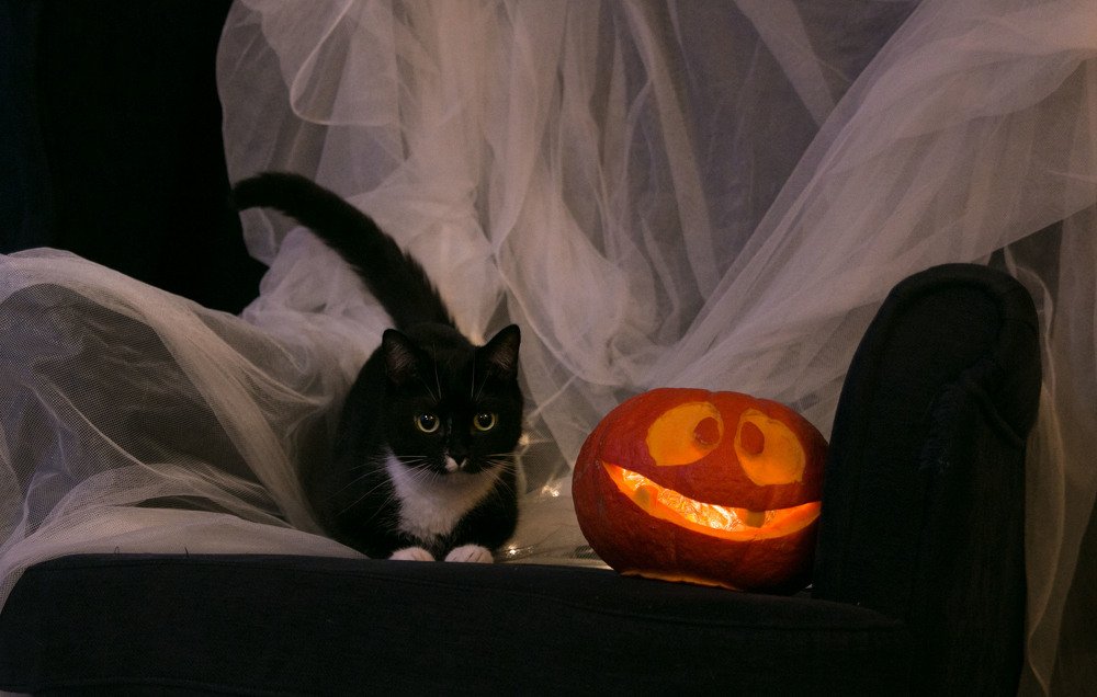 Photograph by Саша Костицына