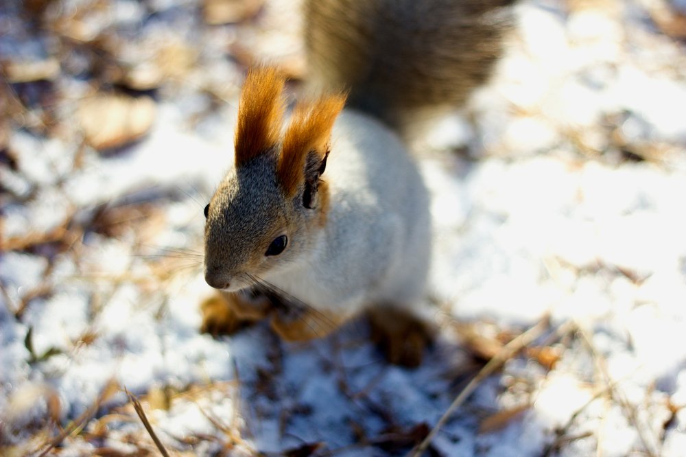 Photograph by Саша Костицына