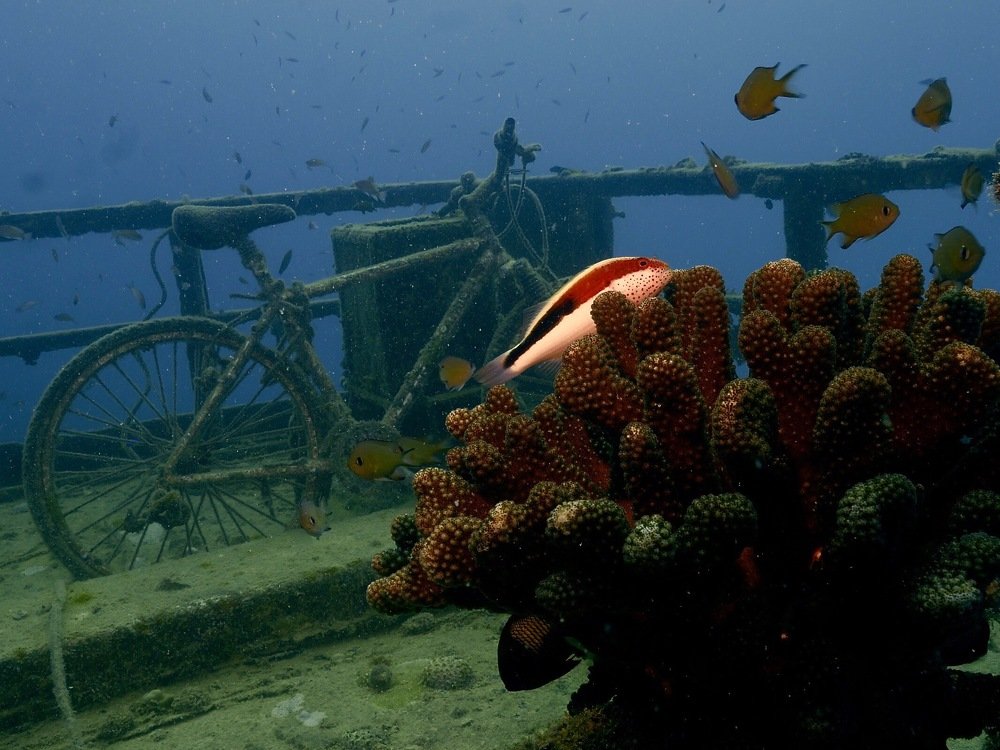 Nature don’t like vacuum