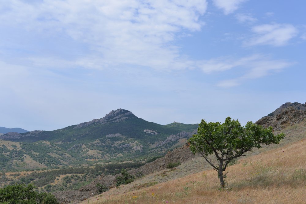 Photograph by Феофилактова Валя