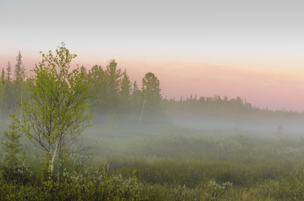 Photograph by Рузаев Дмитрий