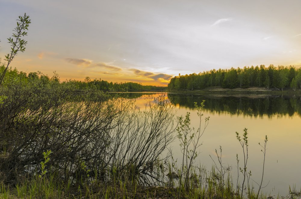 Photograph by Рузаев Дмитрий