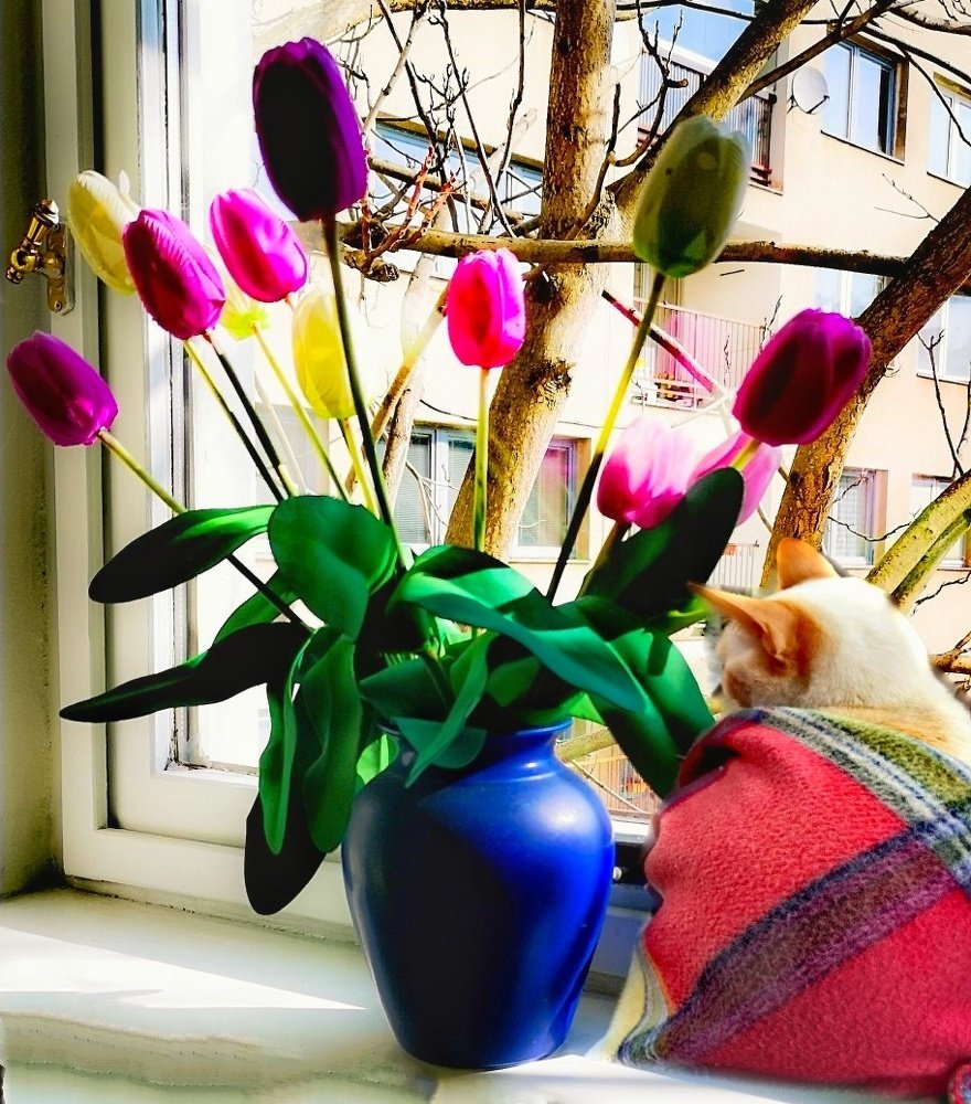 Photograph by Татьяна Чернышова