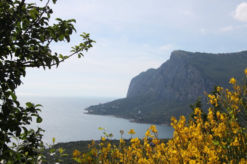 Природа Крыма