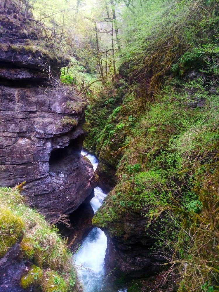 Каменная голова