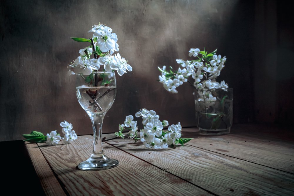 Photograph by Татьяна Макотра