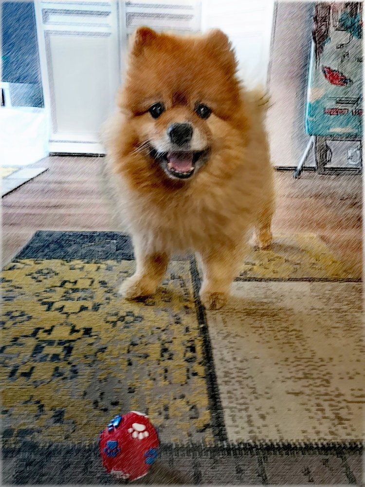 Photograph by Татьяна Чернышова