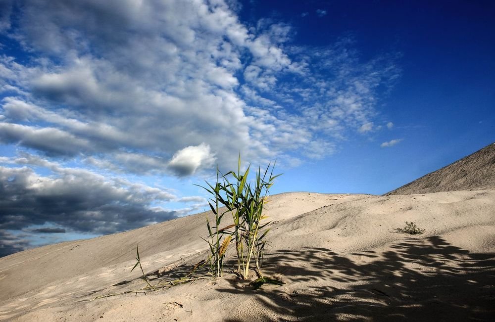 Землі немає, то буде небо.