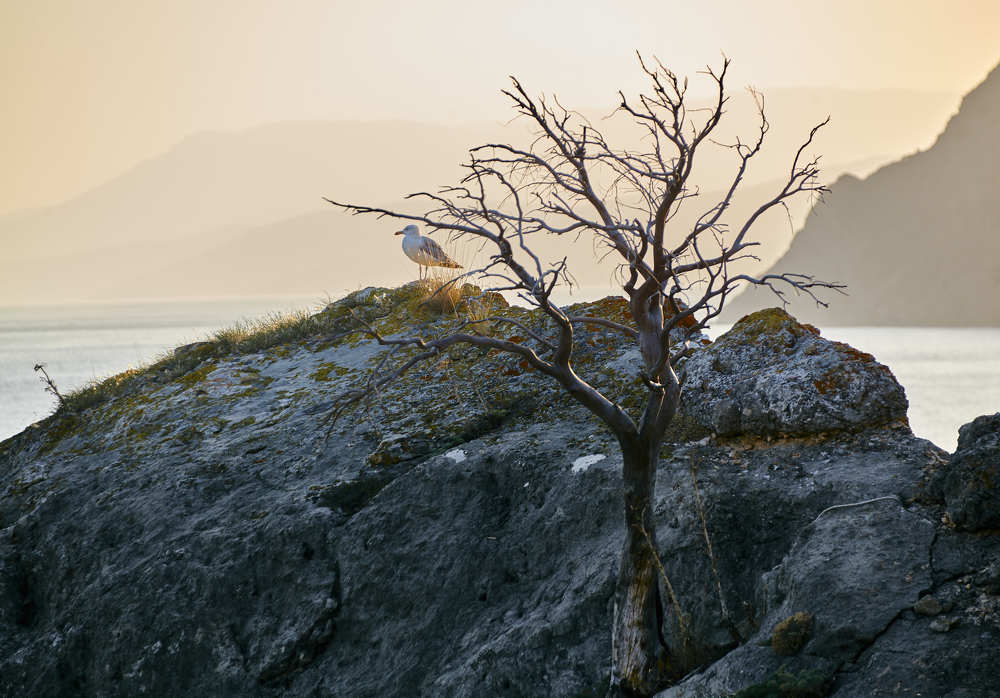 На тропе по Караул-Оба
