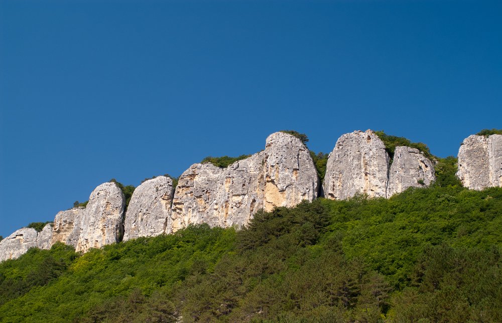 Photograph by Максим Захаров