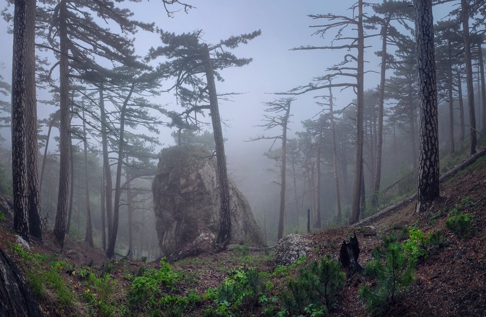 Фотография автора Алексей Бордуков