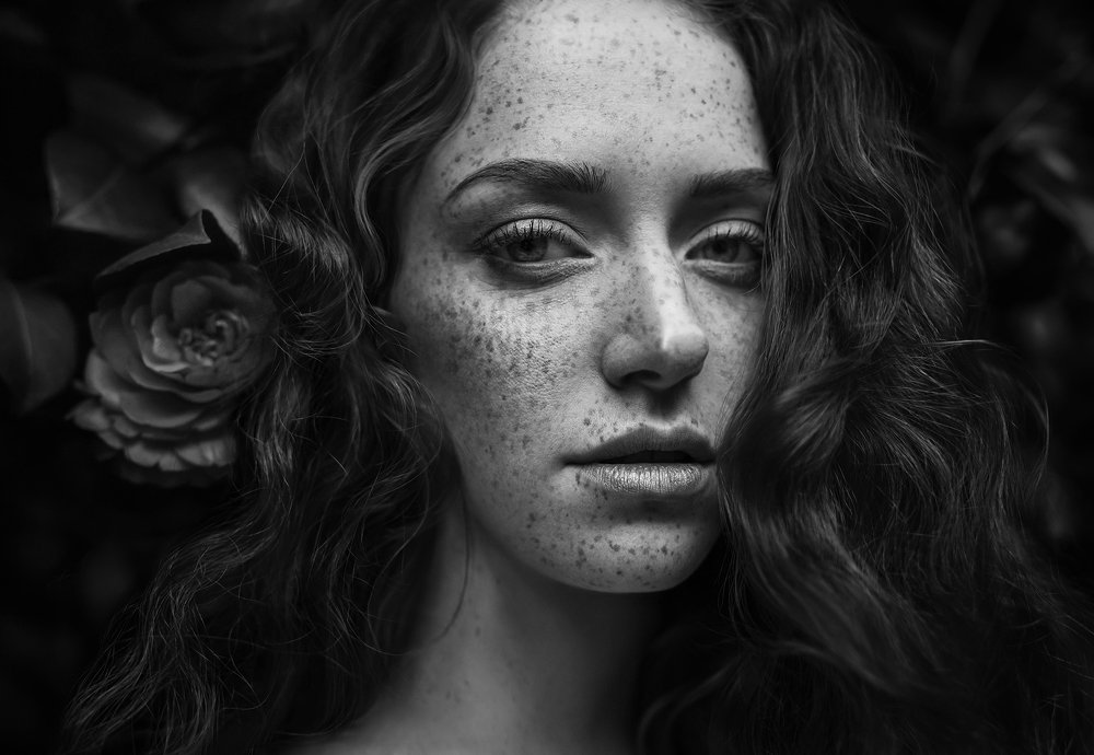 Monochrome Renaissance