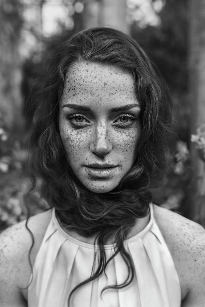 Monochrome Renaissance