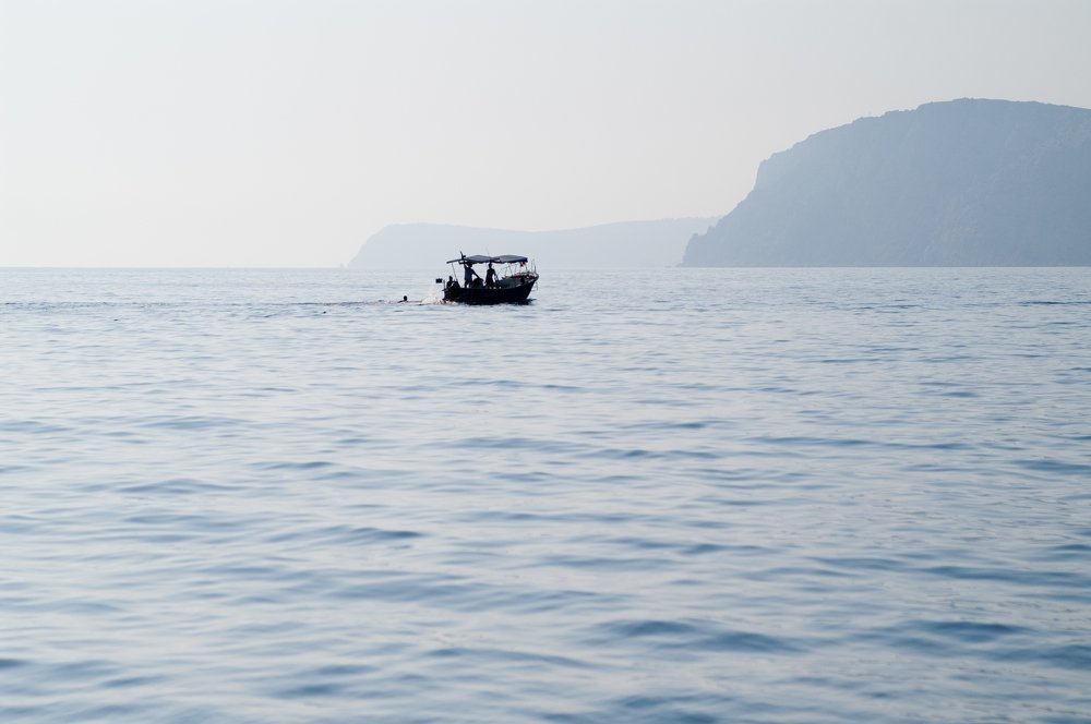 Photograph by Максим Захаров