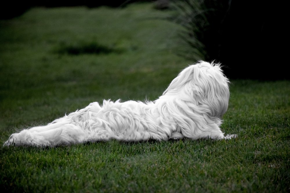 Photograph by Farshad Yazdankhah