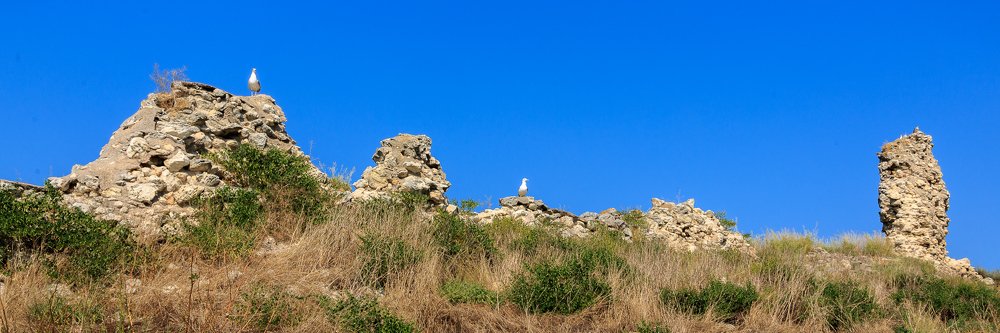 Дневной дозор