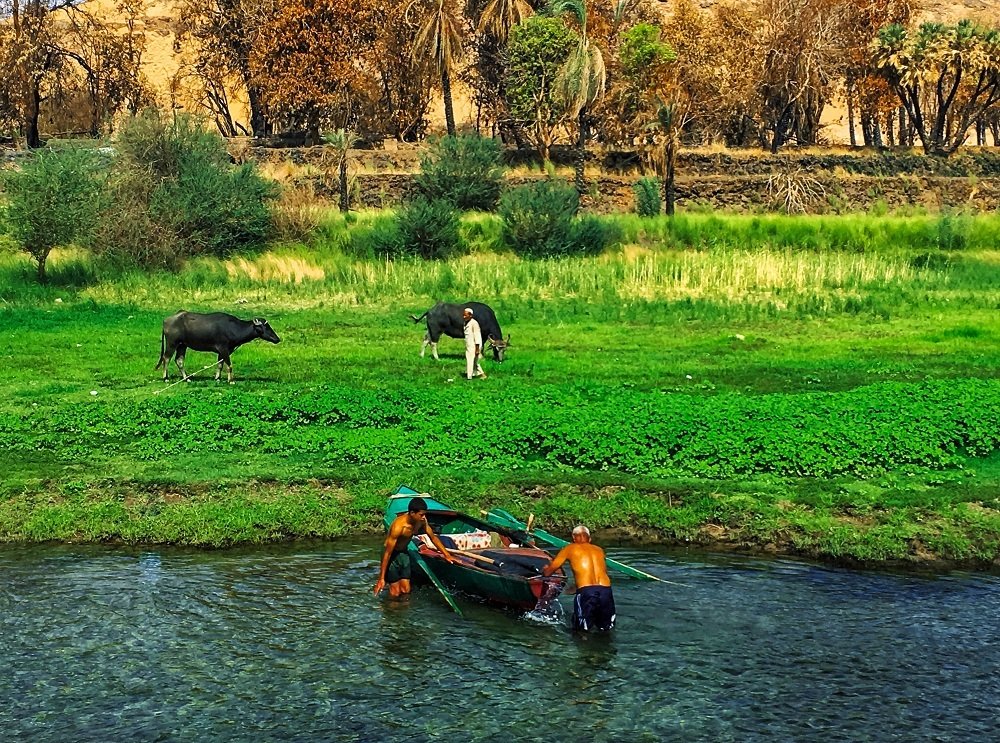 like father like son